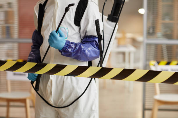 Professional Sewage Cleanup technician working in Bristolville, OH